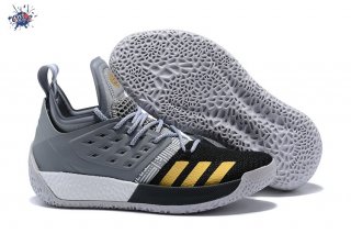 Meilleures Adidas Harden Vol. 2 Gris Noir Or