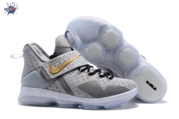 Meilleures Nike Lebron XIV 14 Gris Métallique Or