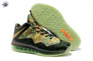 Meilleures Nike Lebron 10 Vert